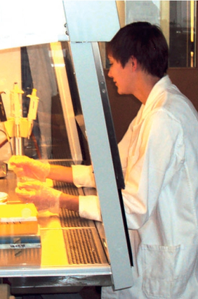 Zwischenbericht des Projekts Ausbildungslotse.