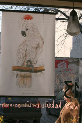 Community Kitchen in der Soldiner Straße 13.