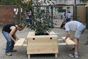 Pop-Up-Wald
